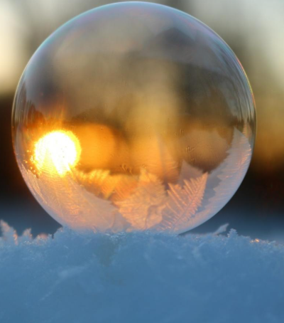 Florina Frunzete — Tot Anul